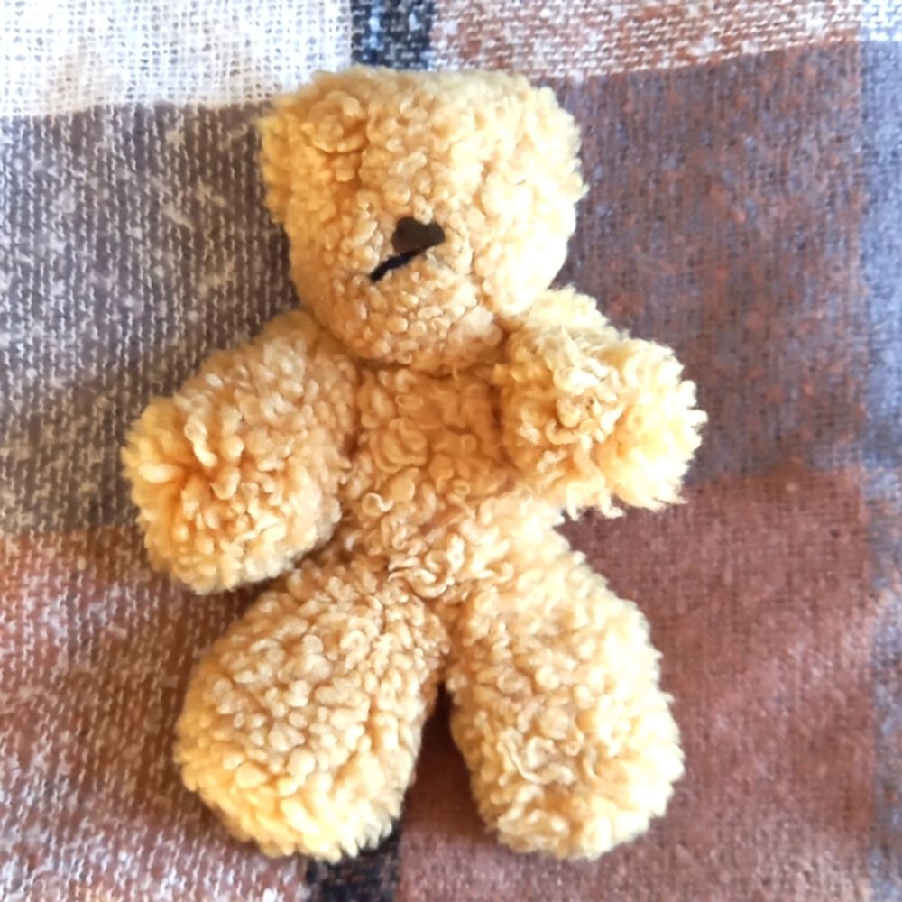 Old mini teddy bear